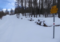 2017 02 08 Ski MüstairChazfora-25_bearbeitet-1