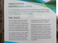 2023-12-12-SAC-RS-Rapperswil-58