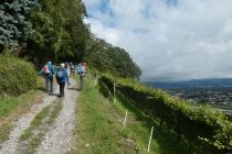 2024-09-17-SAC-RS-RebenBerneck-095