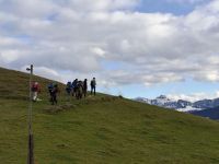 IMG-20250107-WA0008